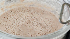 Levain chef sans gluten