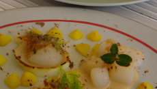 Noix de Saint-Jacques en chaud et froid : saisies, poêlée de pommes au Calvados, fin velouté d'endives / en carpaccio citron vert,endives et pommes à crues, crème acidulée aux herbes.