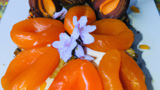 Délice aux abricots et aux pignons de pin