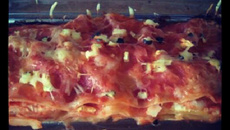 Lasagne courgettes et filet de colin