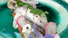 Tarte fine Philadelphia, anchois marinés et herbes du jardin