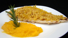 Purée de carottes au curcuma et daurade en croûte de crumble de pain au citron