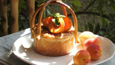 Tora Pisa, Gialla, Nocciola et Mandorla