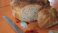 Pain à la farine complète et au levain