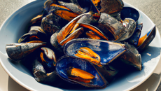 Moules marinières à la normande