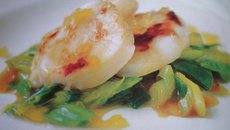 Noix de Saint-Jacques au citron et au gingembre