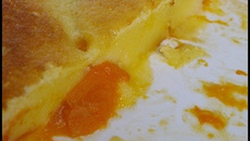 Tarte alsacienne aux abricots