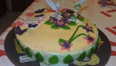 Damier fée clochette