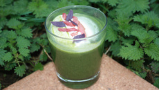 Soupe d'ortie, laitue, rutabaga et chantilly lardons, basilic pourpre