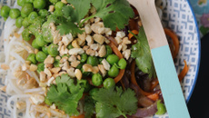 Pad thaï avec des spaghetti de riz bio & sans gluten