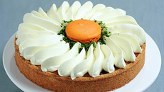 Pâquerette de Soissons