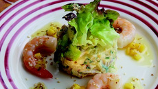 Salade de Chérie à l'indienne et gambas rôties