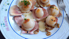 Feuillantine de coquilles saint-jacques dieppoise et d'andouille de Vire, sauce camembert