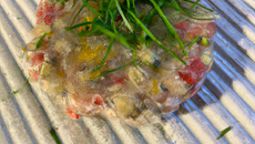 Tartare d'huîtres de Normandie sur gelée de crustacés, herbes fraîches et croustillant à la pomme