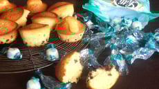 Moelleux menthise et pépite de chocolat