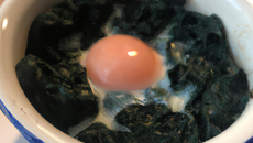 Œuf cocotte aux épinards et au bleu