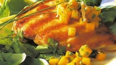 Le chanteur du matin aux abricots