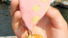 Les madeleines-bateaux de Robin