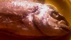 Papillotes de dorades