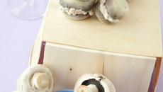 Thon et champignons, comme un macaron !