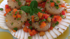 Tartare de coquille St-Jacques à l'huile d'olive vierge extra