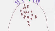 Gâteau d'anniversaire aux pépites de chocolat