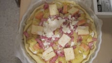 Tourte du nord rapide