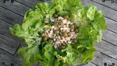Salade de haricots blancs