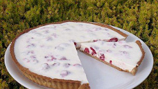 Tarte au yaourt et aux framboises