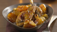 Cocotte de Chapon de Pintade fermière des Landes aux abricots secs et au miel