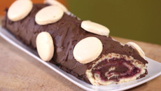 Bûche dessert au chocolat et framboises