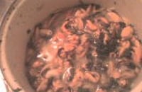 Moules à la marinière sans gluten