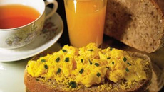 Tartine moisson mimosa