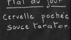 Cervelle pochée, sauce tarator