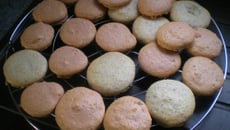 Coques de Macarons