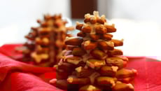 Les sapins gourmands