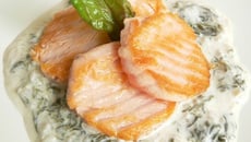 Saumon à l'oseille façon Troisgros (Roanne)