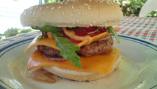 Hamburger maison facile