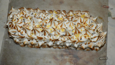 Bûche des neiges