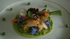 Langoustine sur un lit de petits pois, printanière de légumes