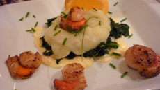 Saint jacques poêlées sur un lit d'épinard et sa sauce à l'orange