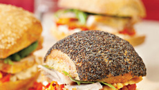 Assortiment de minis sandwichs de cuisses de dinde rôtie