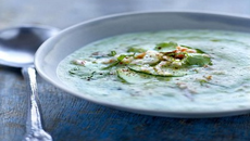 Velouté de concombre à la menthe et au coriandre