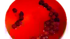 Framboisier chocolat blanc