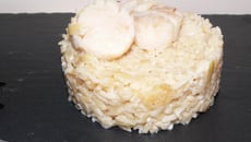 Risotto aux noix de saint jacques