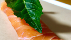 Feuille de brick et saumon cru.