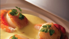 Velouté de poisson et Coquilles Saint Jacques