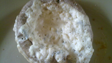 Champignon farcis classiques