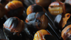 Marrons grillés