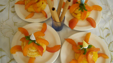 Demi-Sphères de sorbet aux abricots